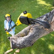 Lawn Watering Services in Sammamish, WA